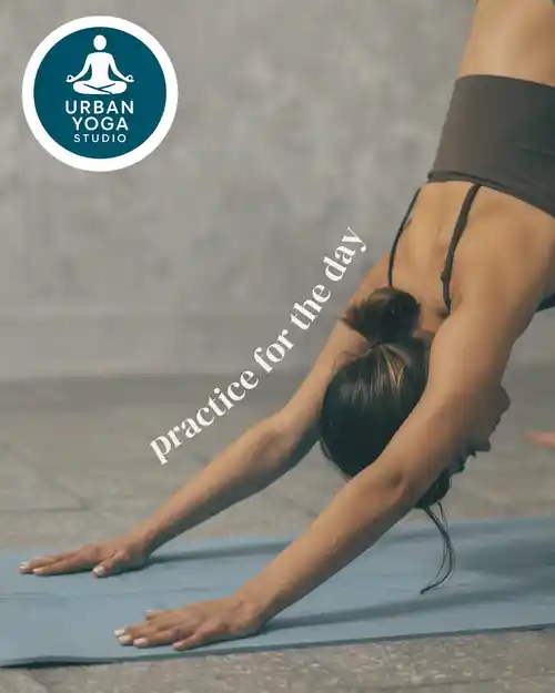 Yoga practice at Urban Yoga Studio